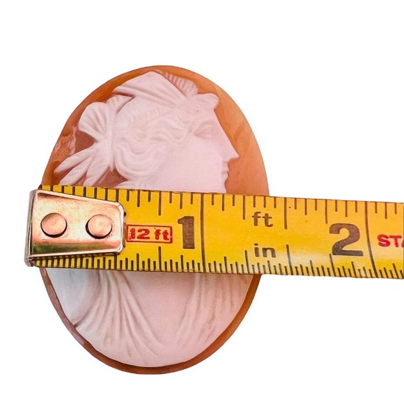 GORGEOUS Victorian Antique Large Unmounted Shell Cameo Large Goddess/God - Picture 7 of 12